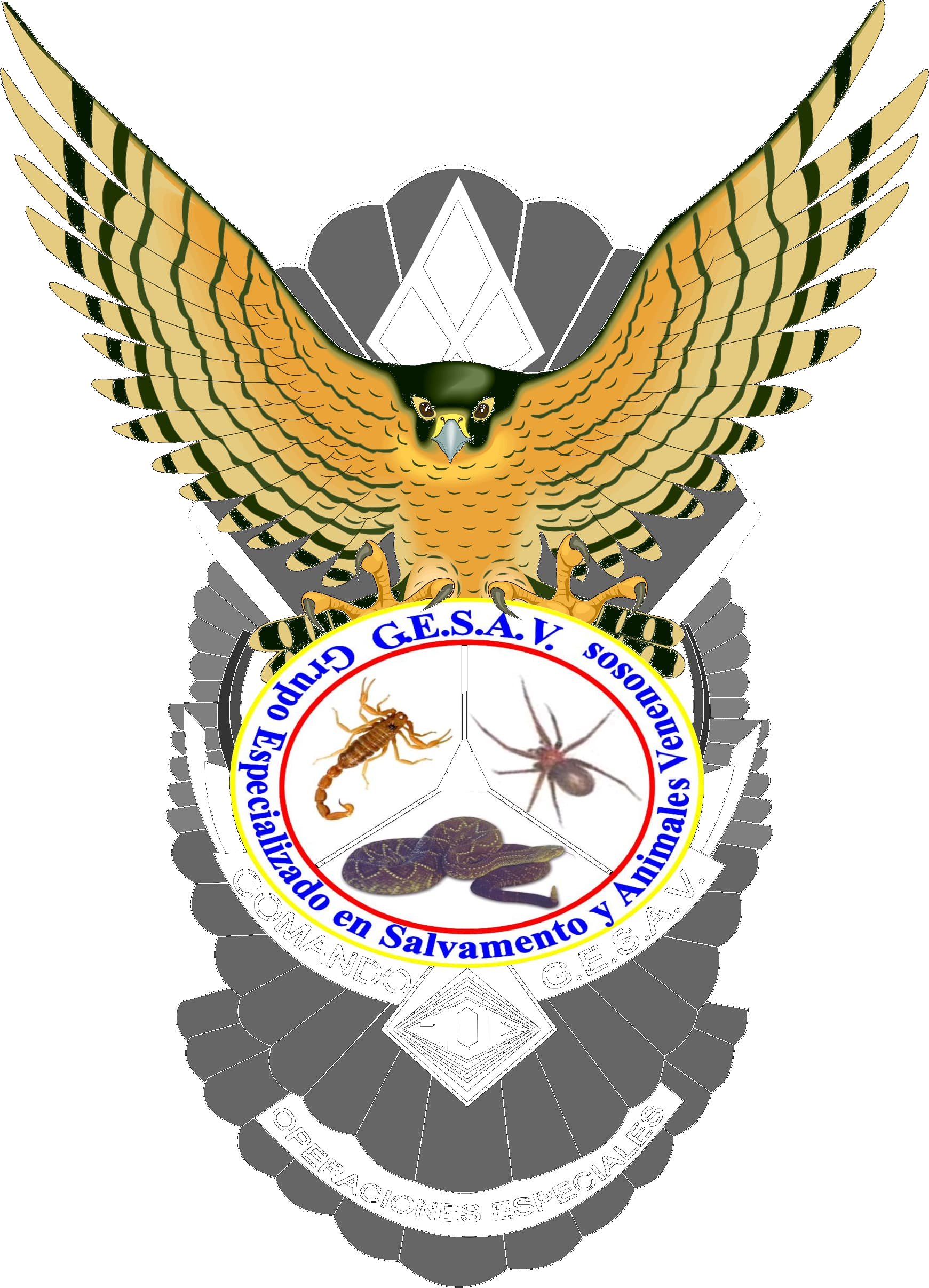 logo_gesav.png